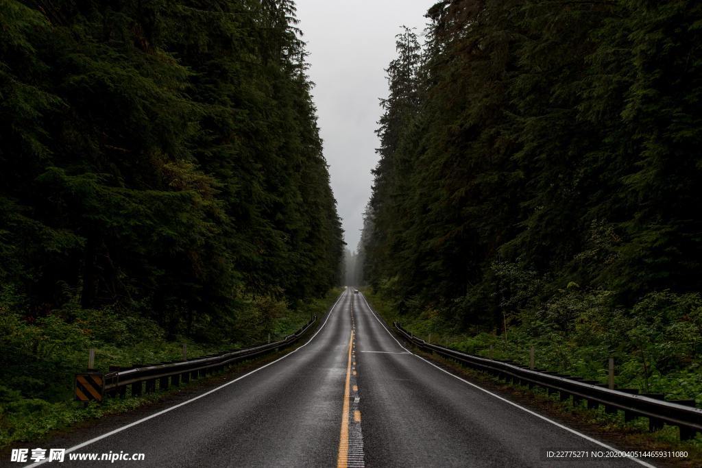 高速公路旁的风景