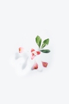绿叶与花瓣