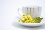 茶杯与菊花