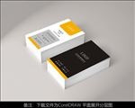 简洁大气黑色名片