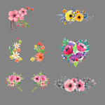 花卉