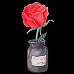 水彩画 花 包装素材玫瑰插画
