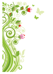 花纹