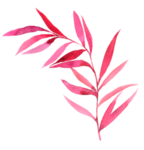花卉