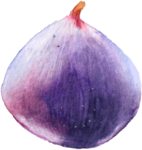 花卉