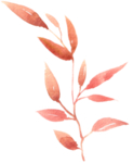 花卉