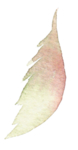 花卉