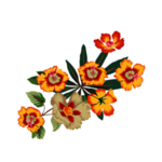 鲜花