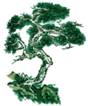 水墨