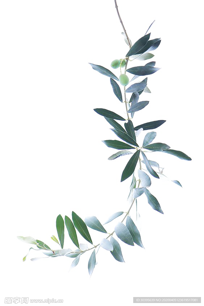 水墨