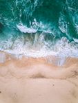 海洋