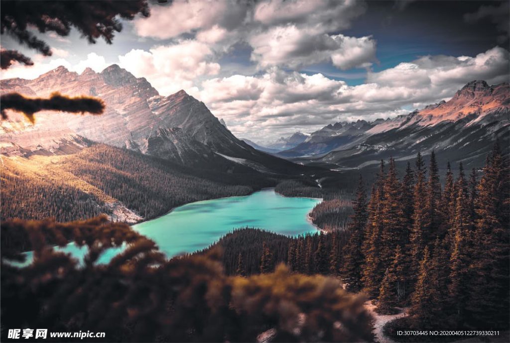 山