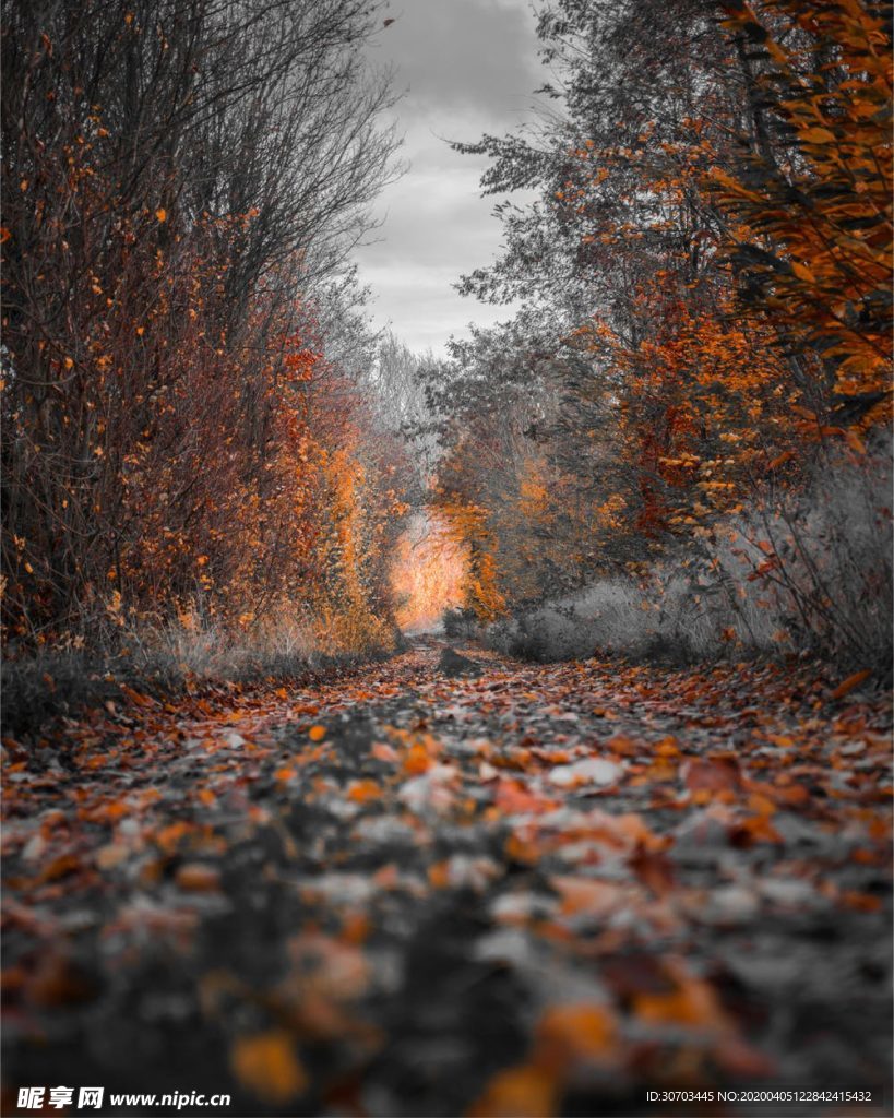 路