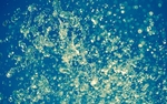 水花四溅