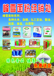 粮油宣传单