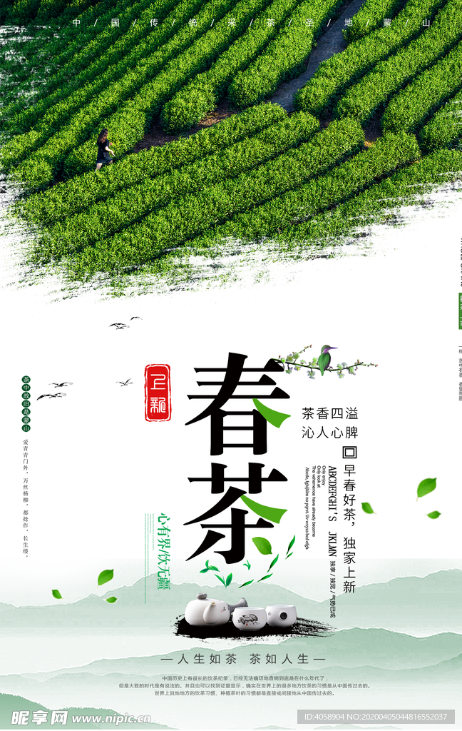 春茶