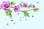 玫瑰花