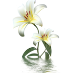 花