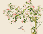 花鸟