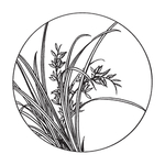 兰花