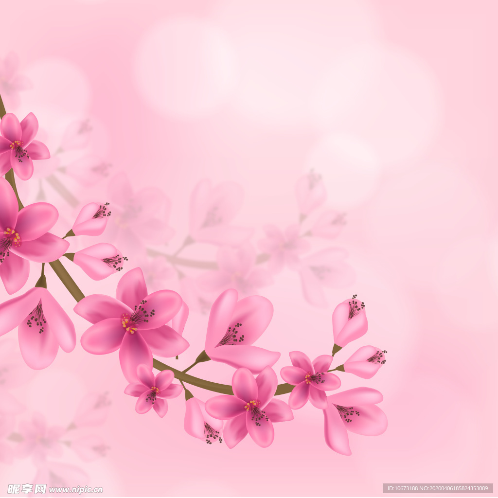樱花壁纸