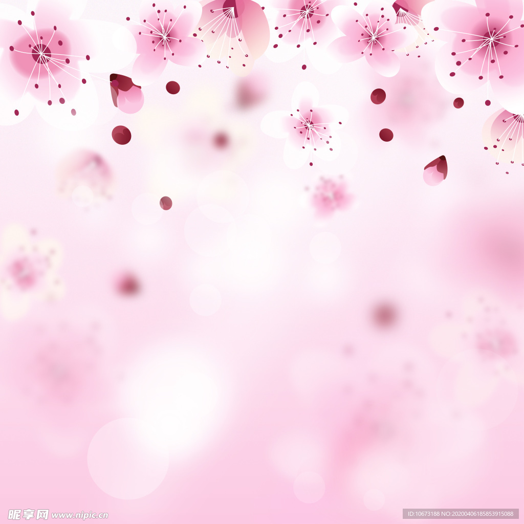 樱花壁纸