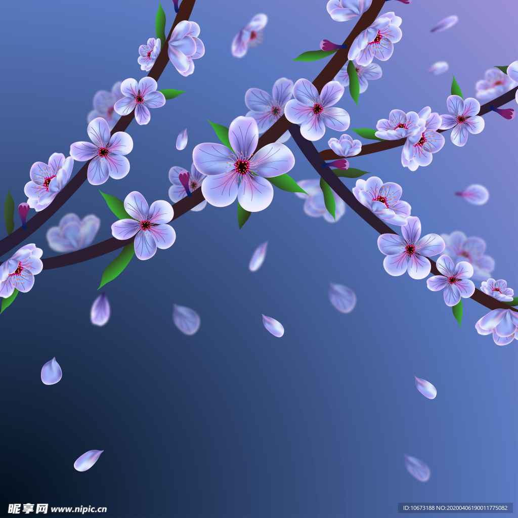 樱花壁纸
