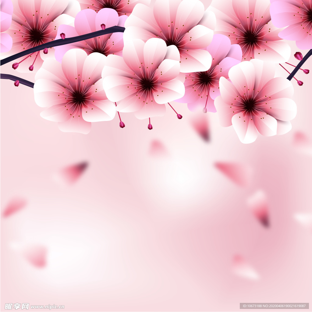 樱花壁纸