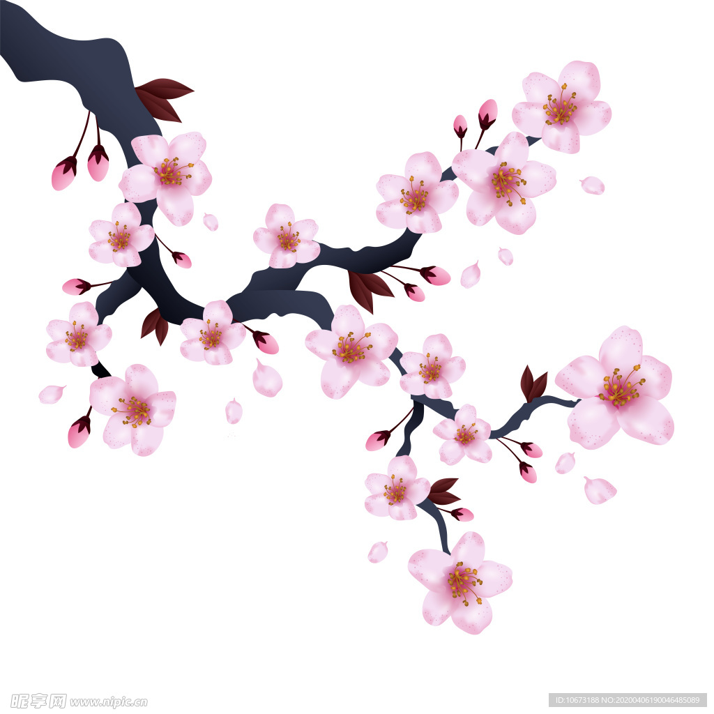 樱花壁纸