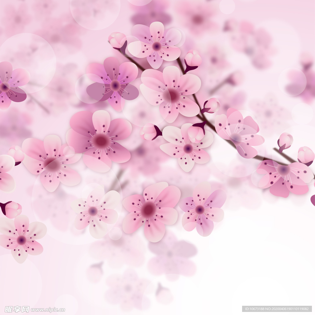 樱花壁纸