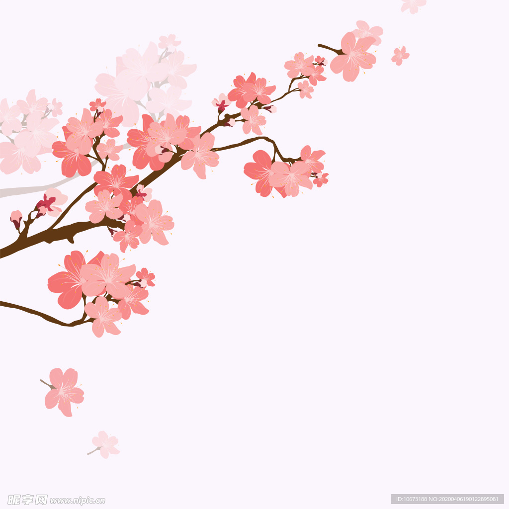 樱花壁纸