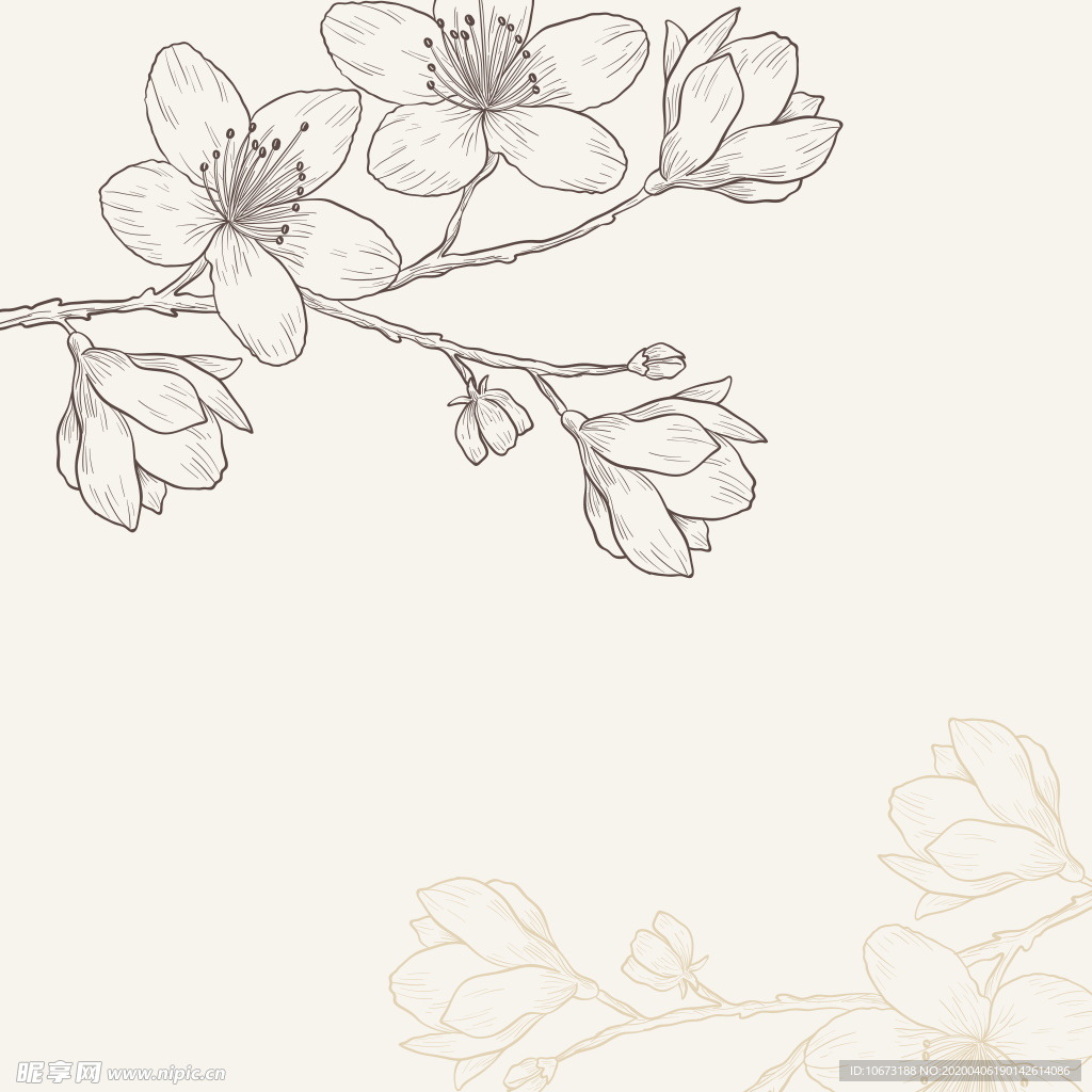樱花壁纸