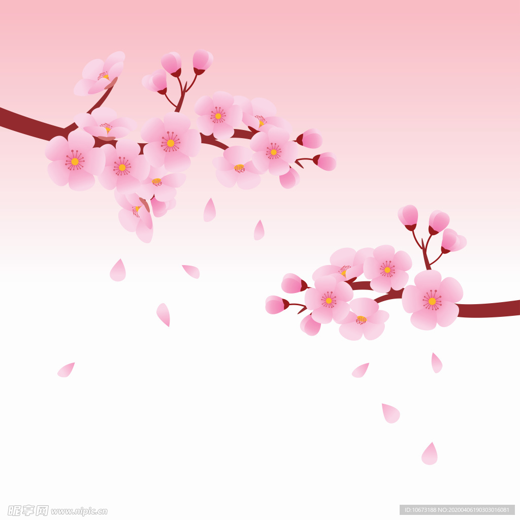 樱花壁纸