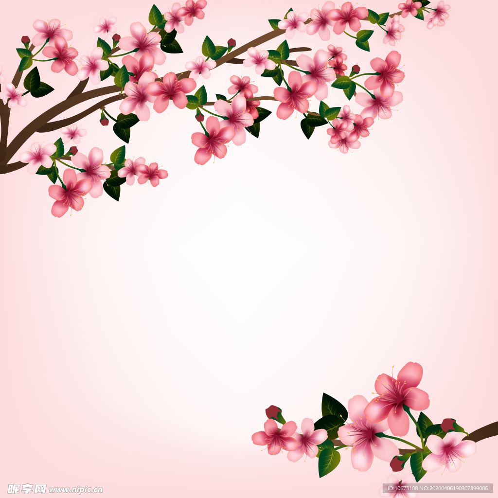 樱花壁纸