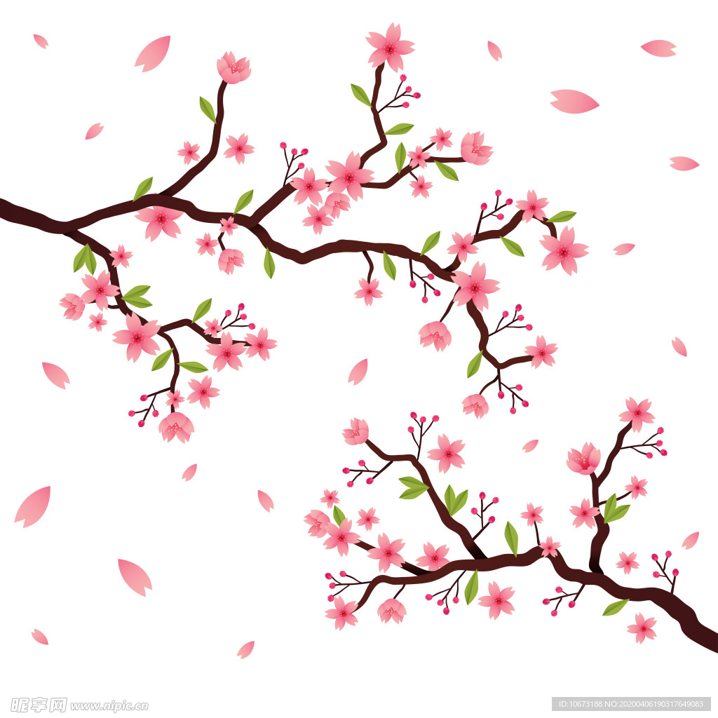 樱花壁纸