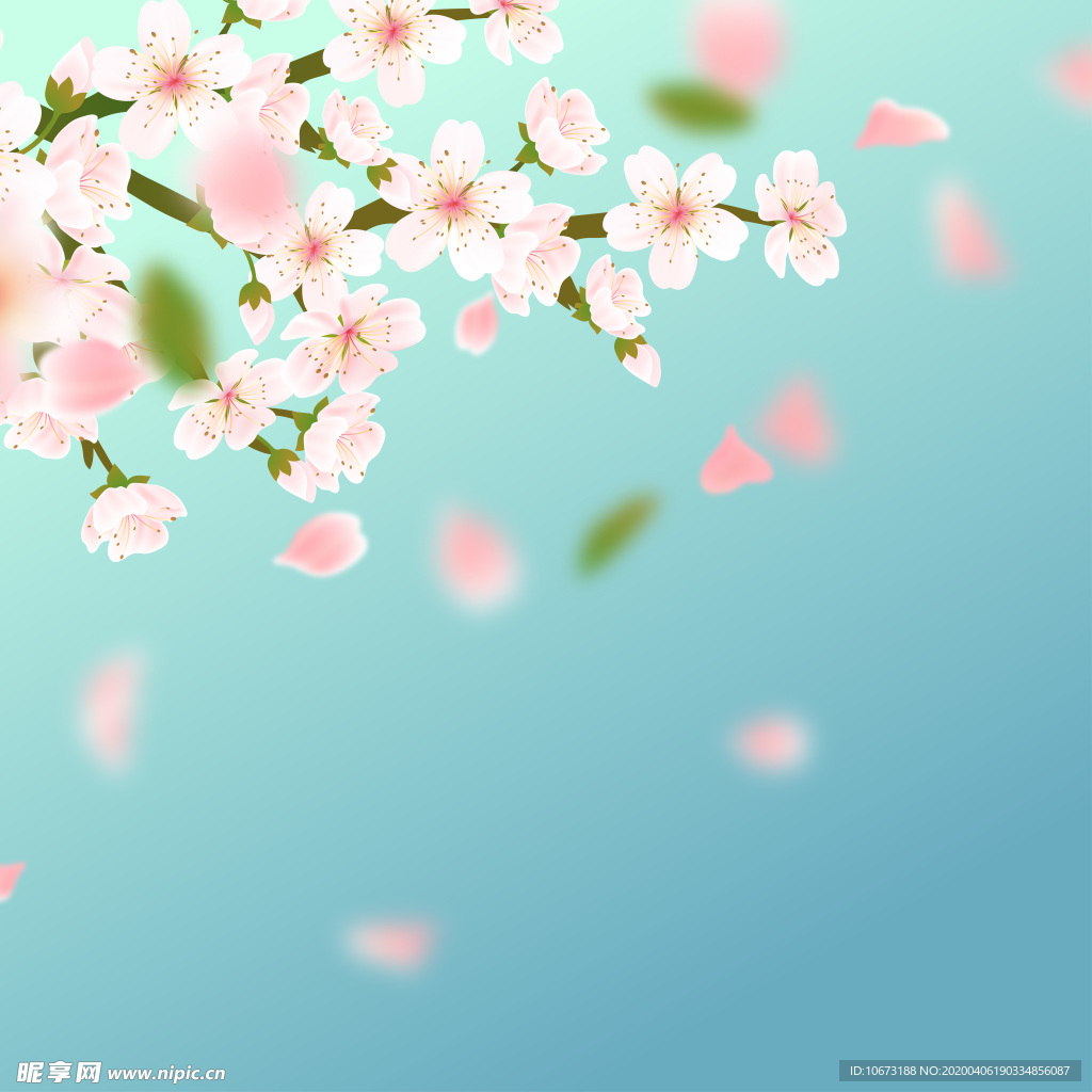 樱花壁纸