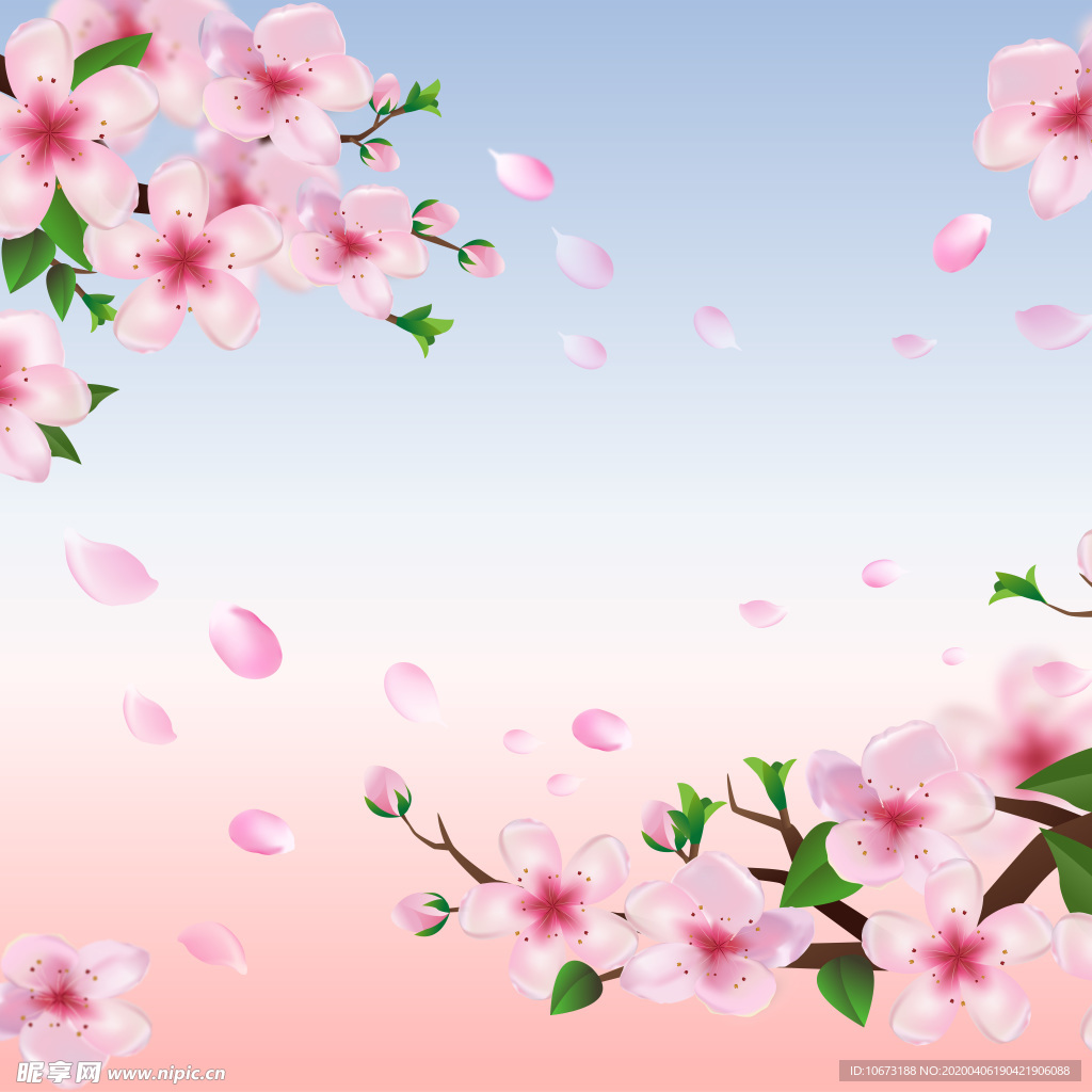 樱花壁纸