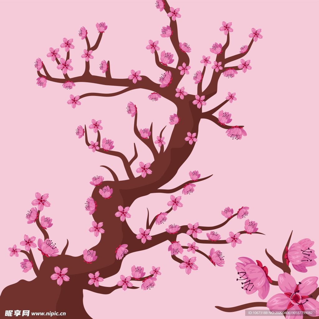 樱花壁纸