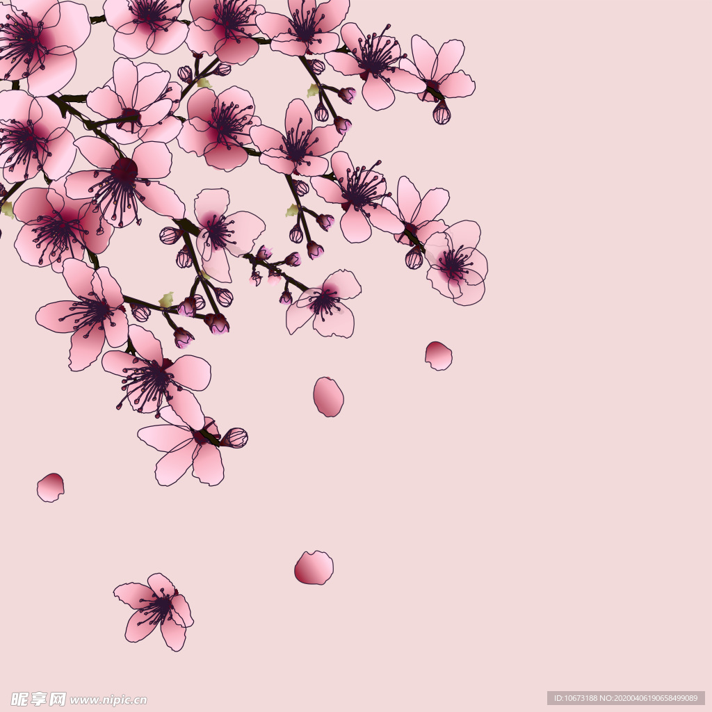 樱花壁纸