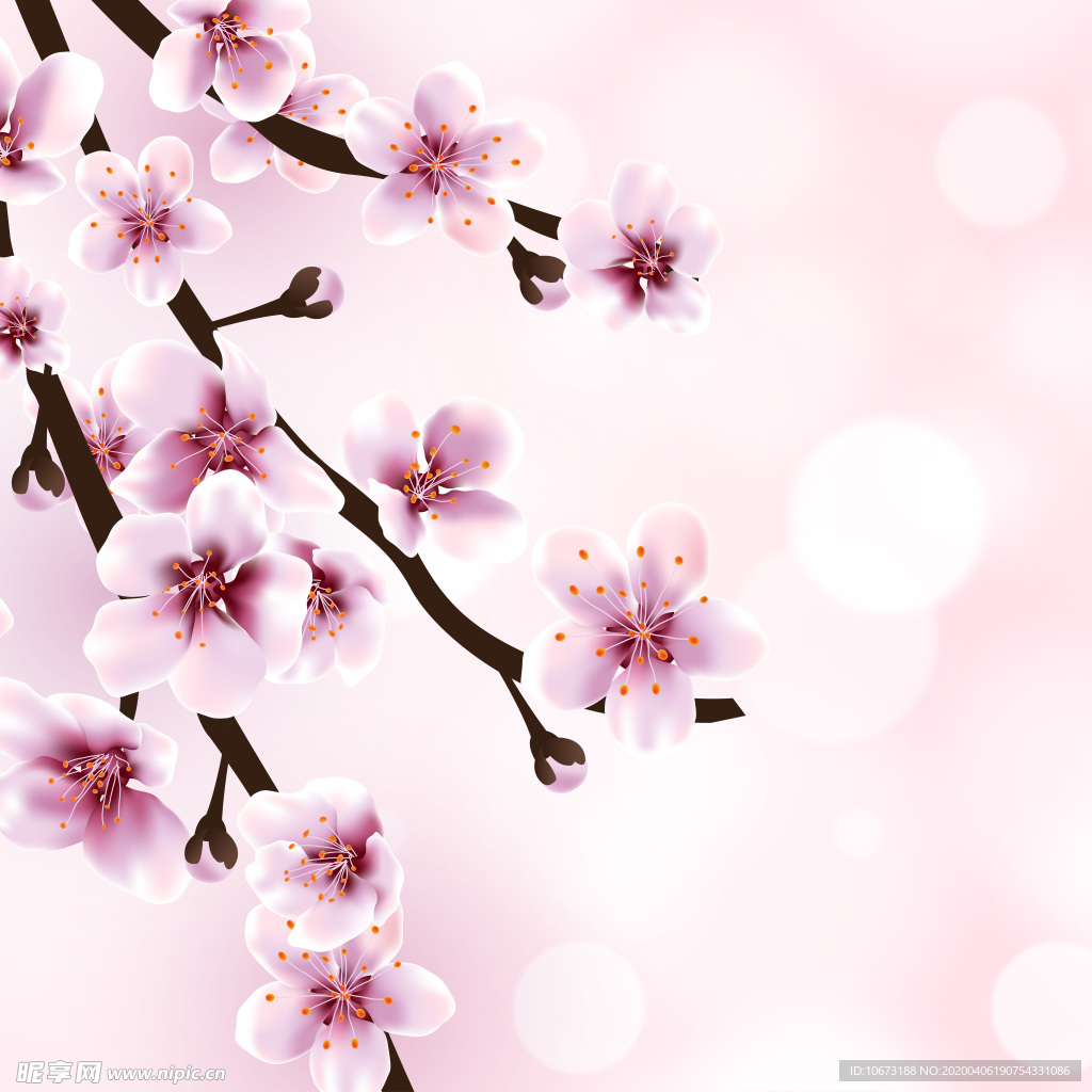 樱花壁纸