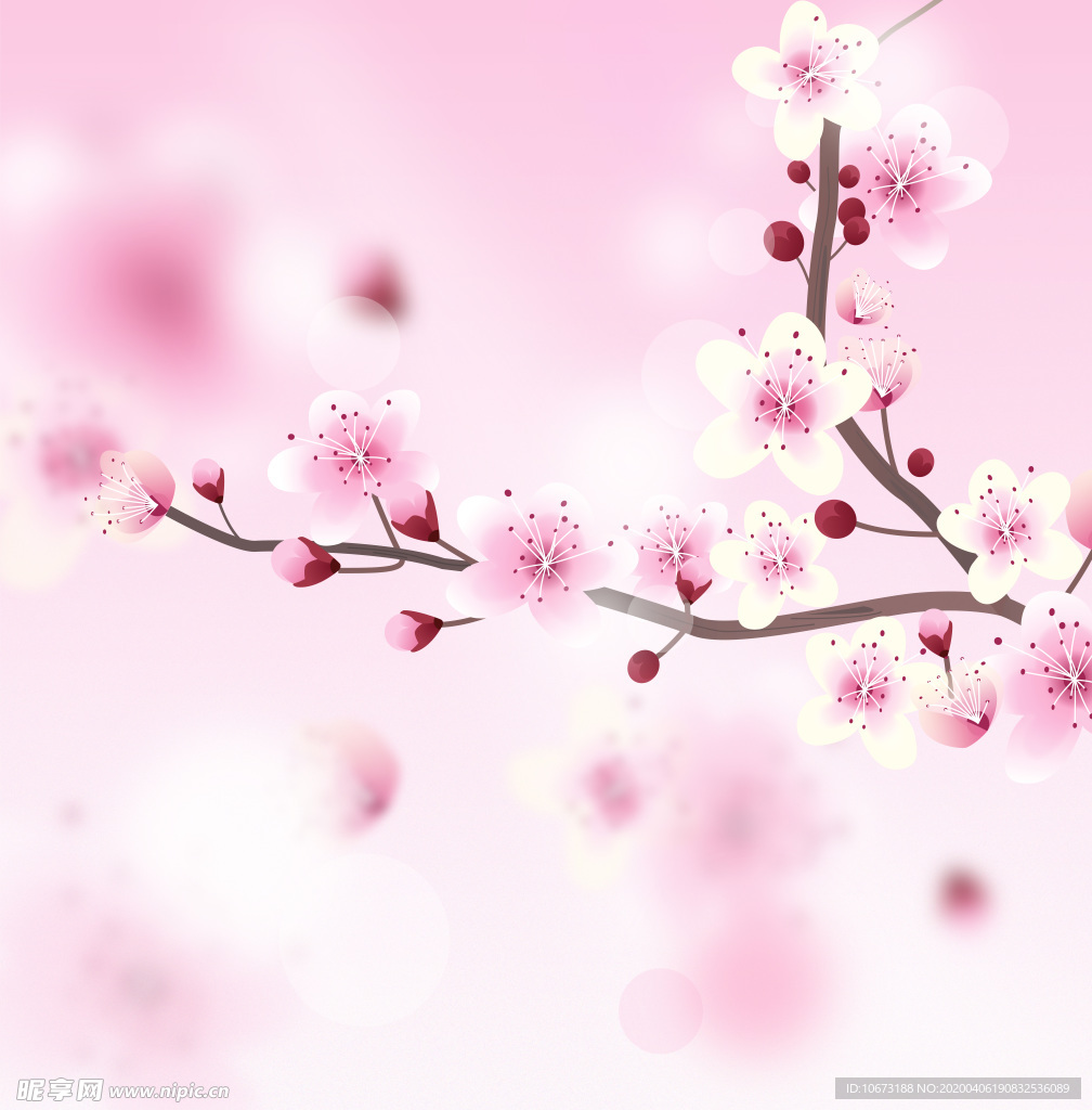 樱花壁纸