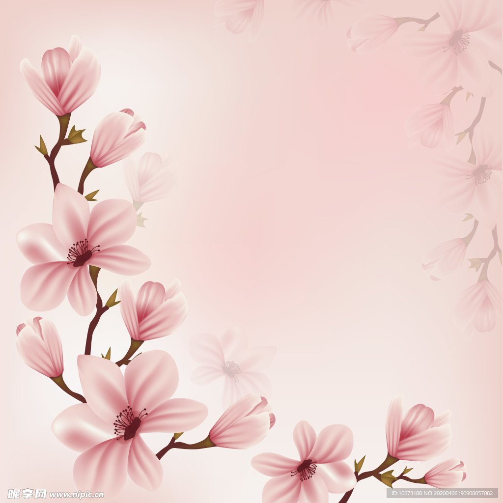 樱花壁纸