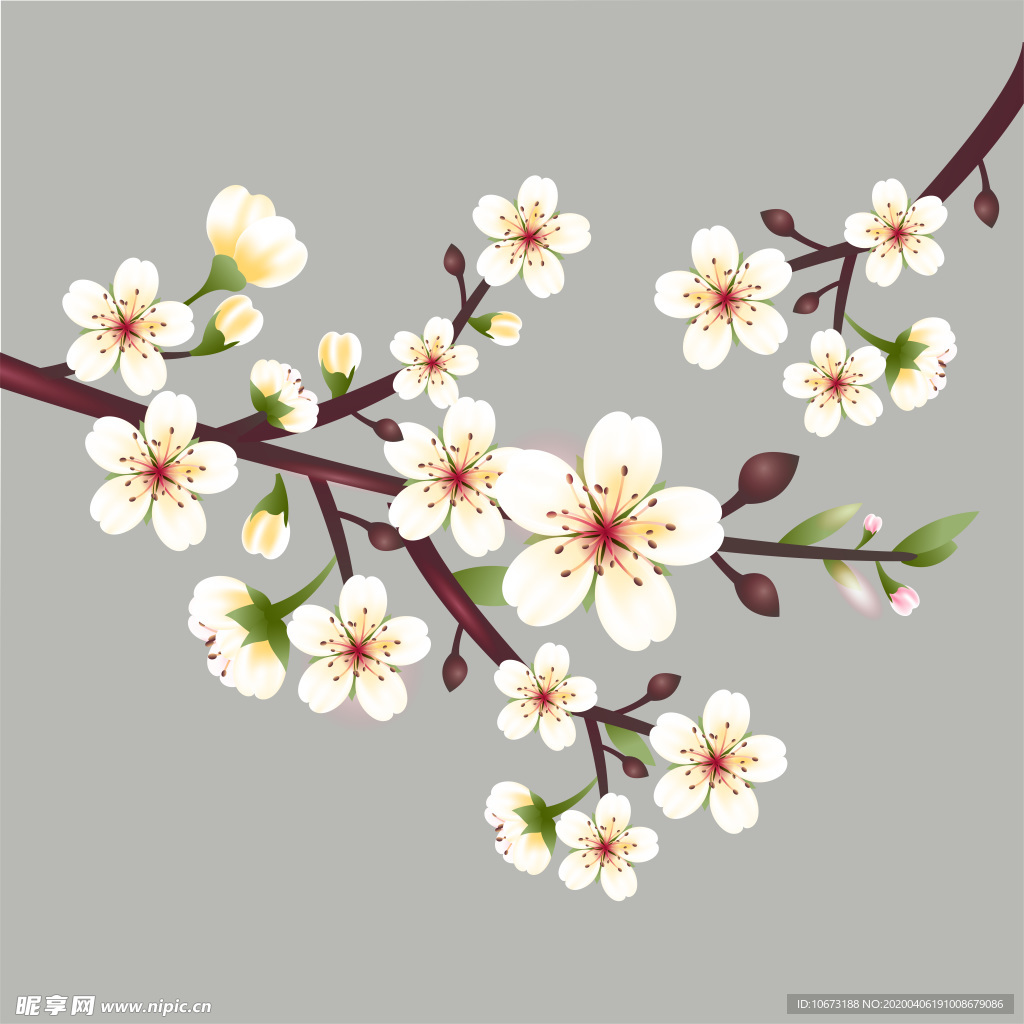 樱花壁纸