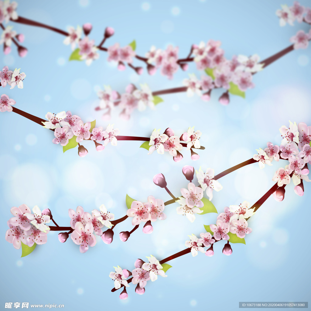 樱花壁纸