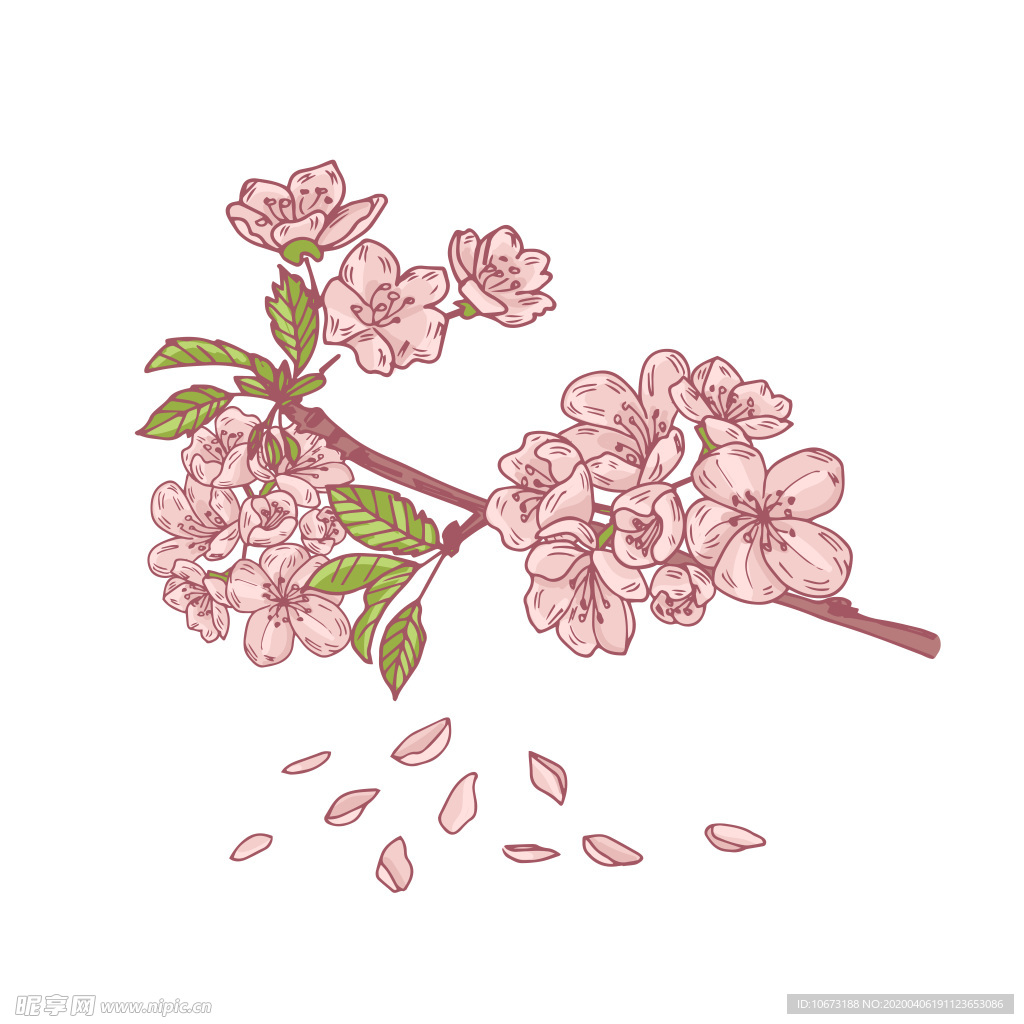 樱花壁纸