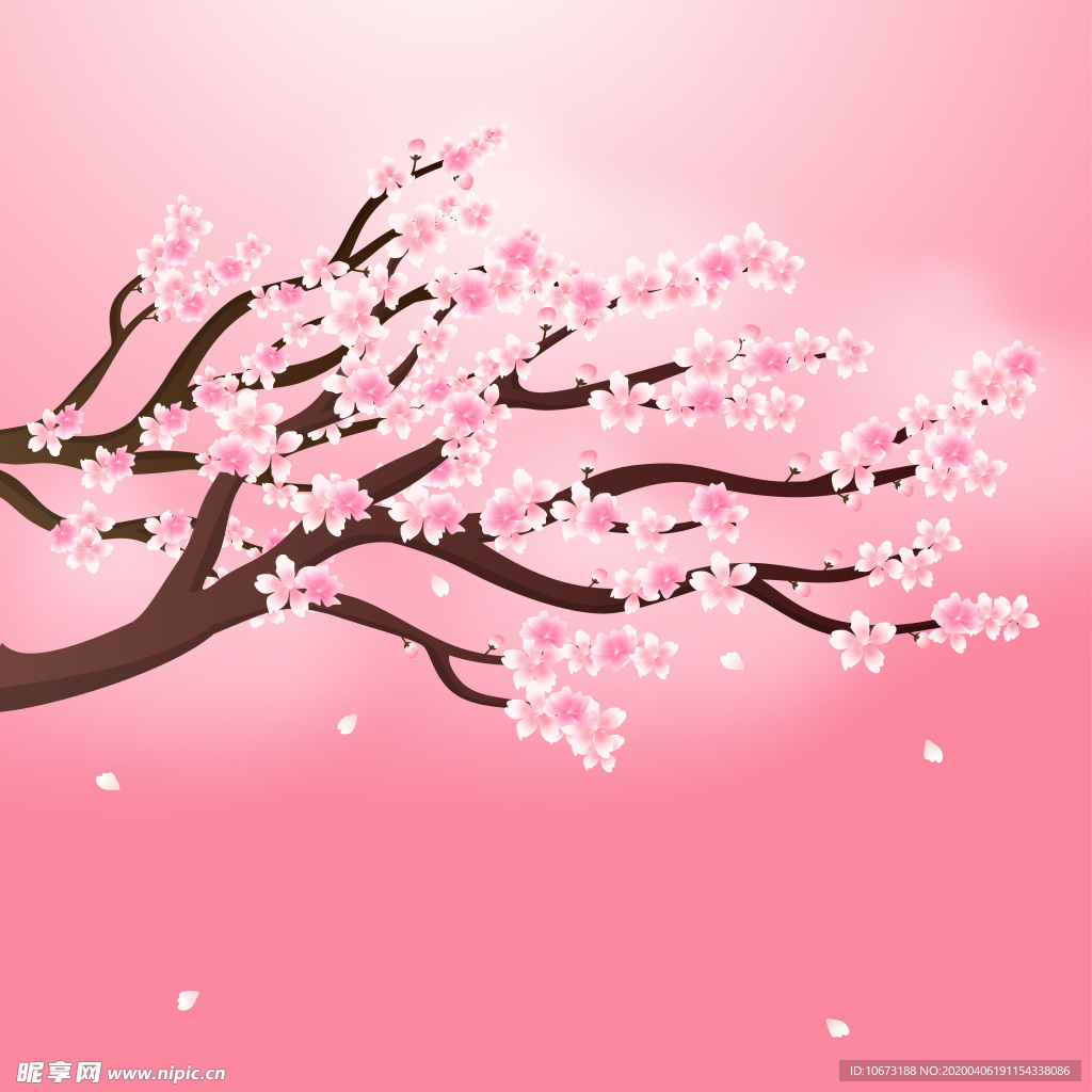 樱花壁纸