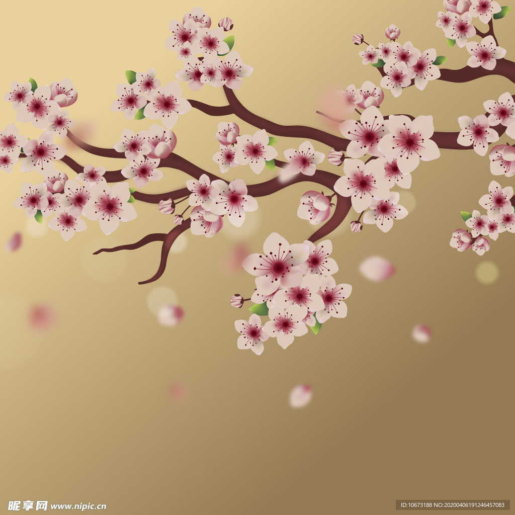 樱花壁纸