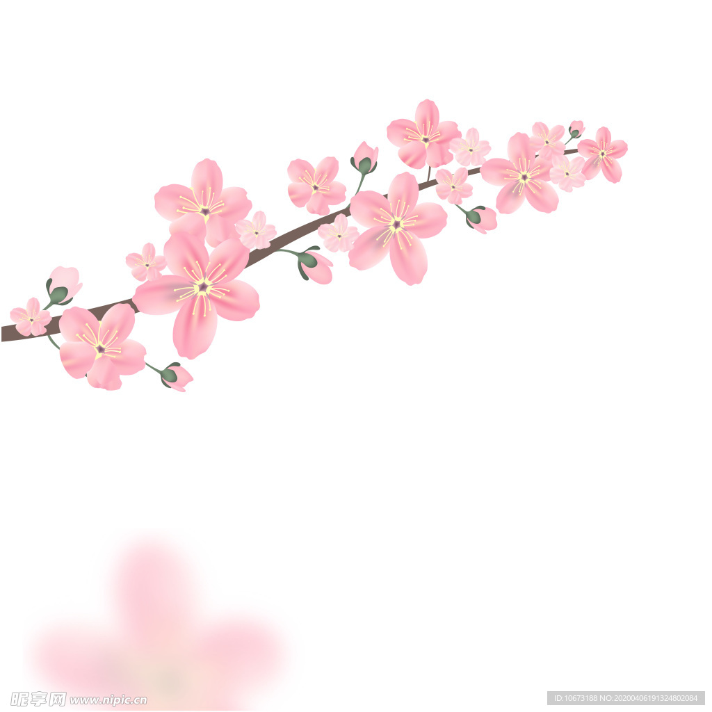 樱花壁纸