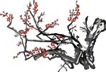 梅花