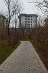 公园小路